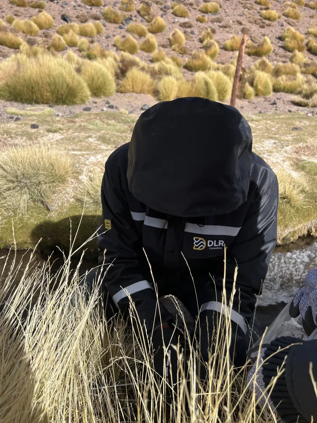 Muestreo ambiental en humedal altoandino