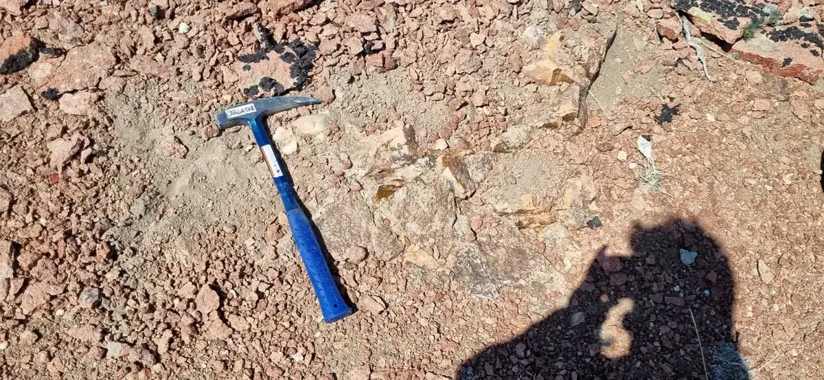 Relevamiento de estructuras geológicas en campo